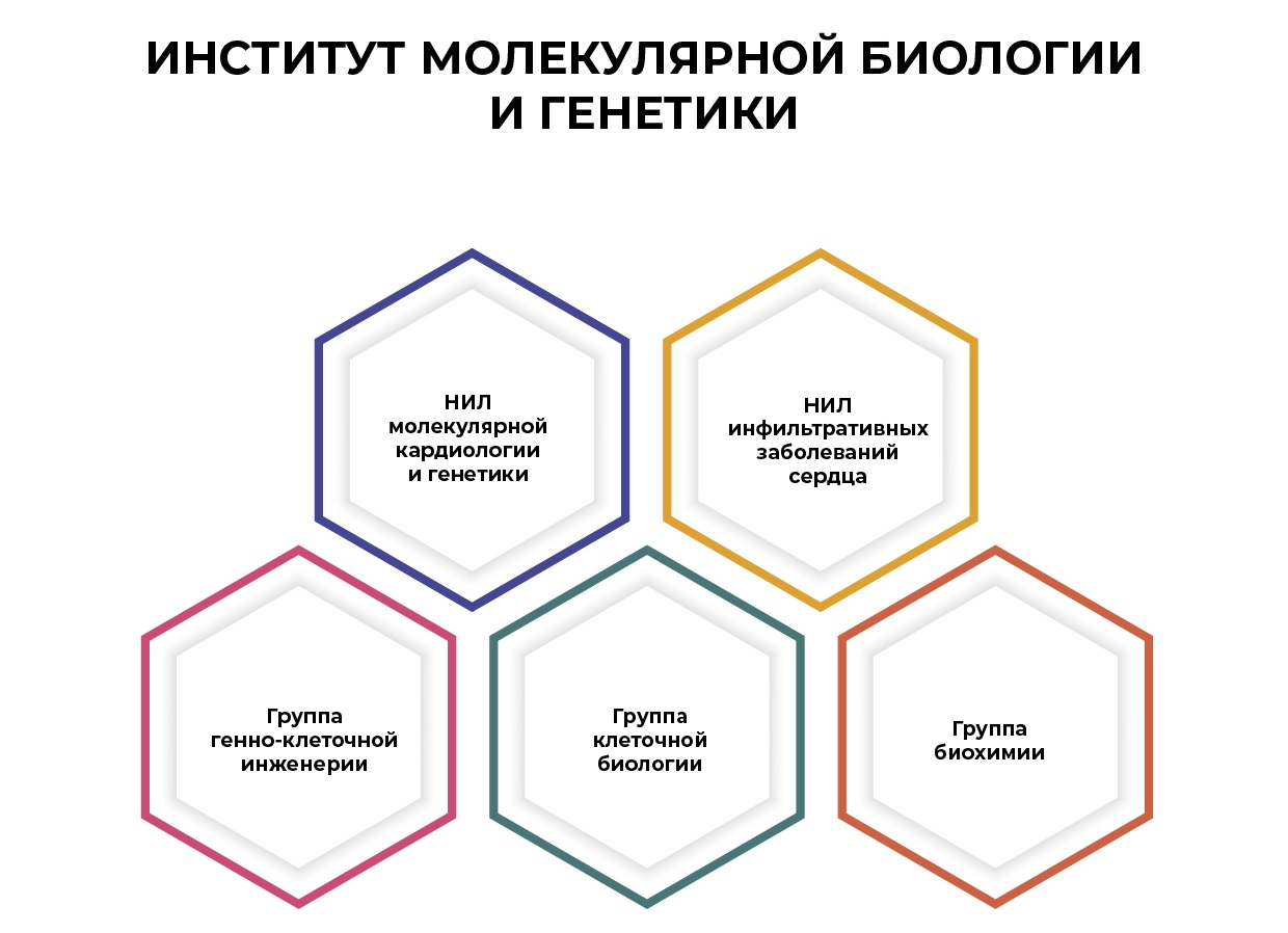 Институт молекулярной биологии и генетики » ФГБУ «НМИЦ им. В. А. Алмазова»  Минздрава России