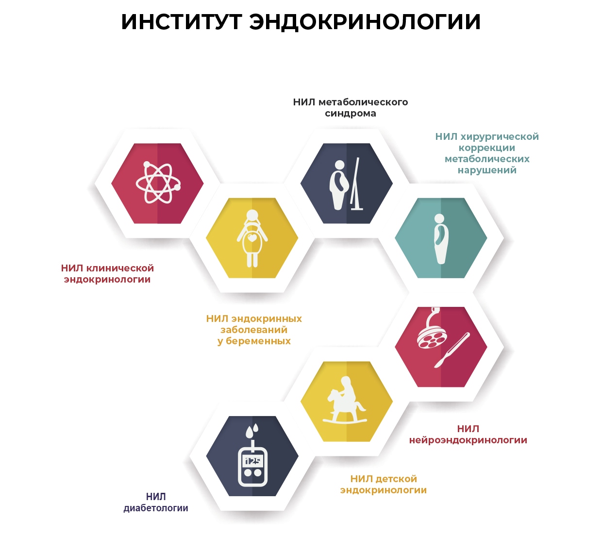 Институт эндокринологии » ФГБУ «НМИЦ им. В. А. Алмазова» Минздрава России