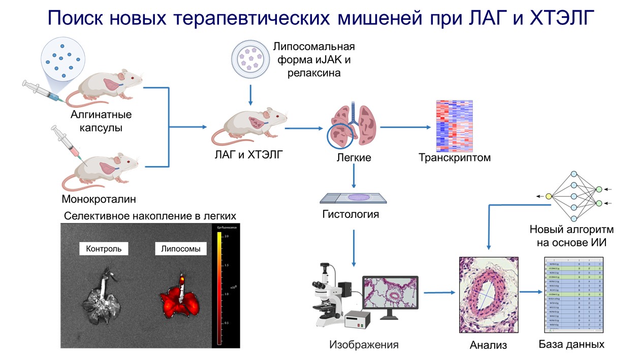 Институт экспериментальной медицины » ФГБУ «НМИЦ им. В. А. Алмазова»  Минздрава России