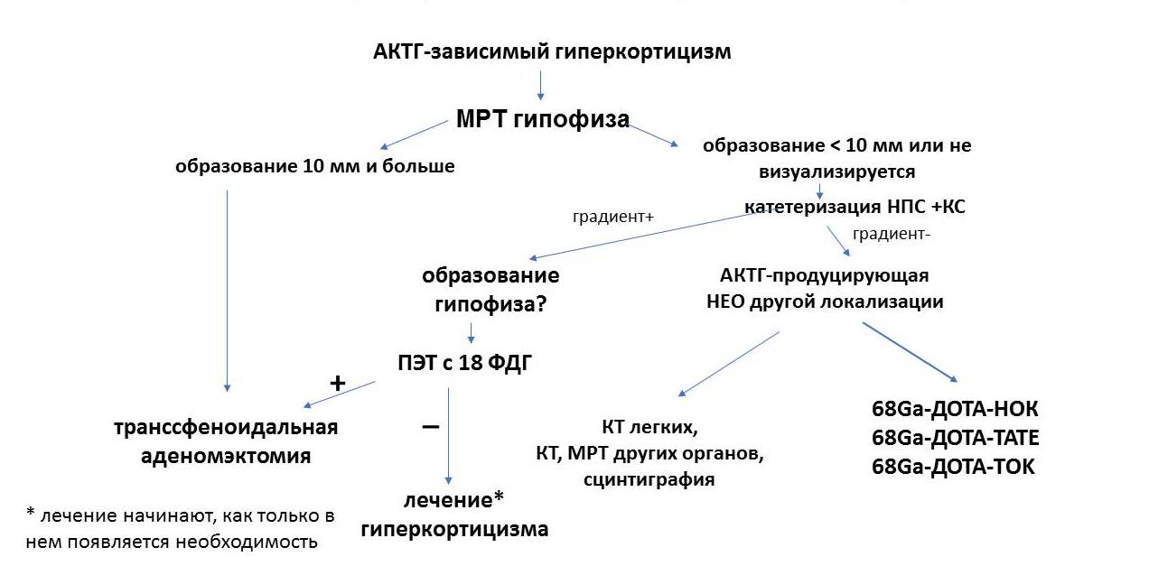 4_ALGORITM DEYSTVIY, PRI VYYAVLENII AKTG-ZAVISIMOGO GIPERKORTITSIZMA, razrabotannyy  v tsentre kompetentsiy_корр