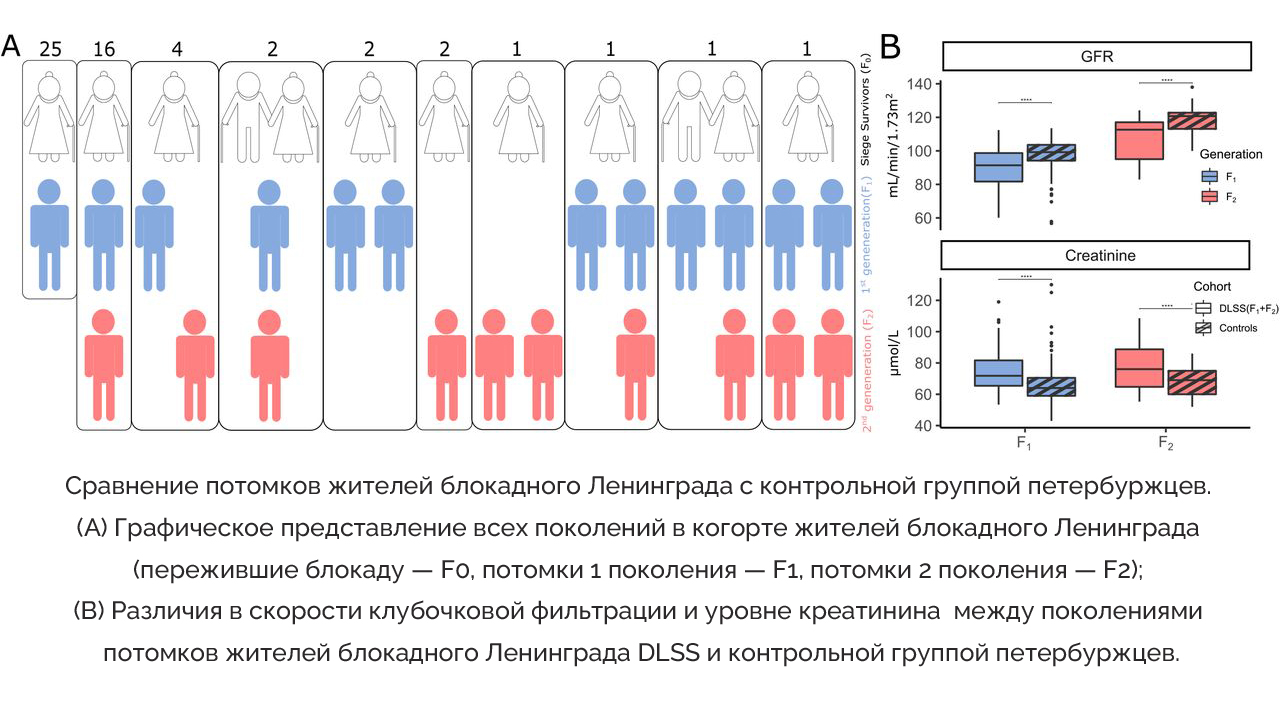 Исследование трансгенерационных эффектов голодания у потомков жителей  блокадного Ленинграда » ФГБУ «НМИЦ им. В. А. Алмазова» Минздрава России