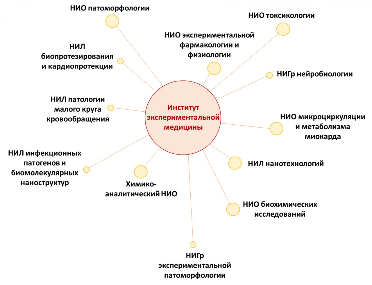 Институт экспериментальной медицины » ФГБУ «НМИЦ им. В. А. Алмазова»  Минздрава России